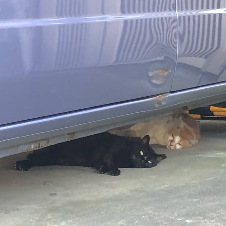 6e61783f ed7a 4f57 8e66 c7823812f114 1565552311783