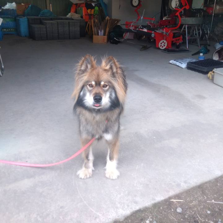 6e618d4f 4f61 49ba b4cc 3838445e47ec 1647524989475