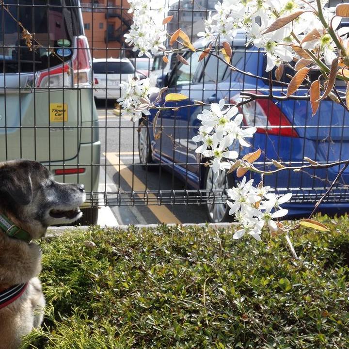 6e619dc8 5fa3 4b48 93f8 396c2381a677 1522545985070