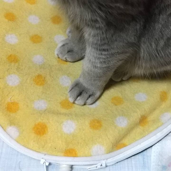 6e61b248 52c0 4438 8775 6da9ac2f93ec 1654596813825