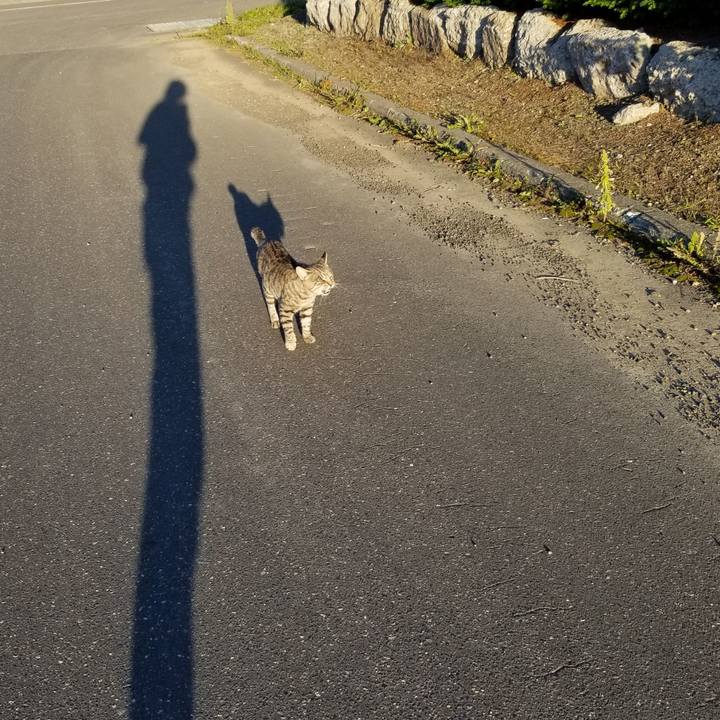 6e61caee 1179 49de 8edd 091364f841cd 1631750546714