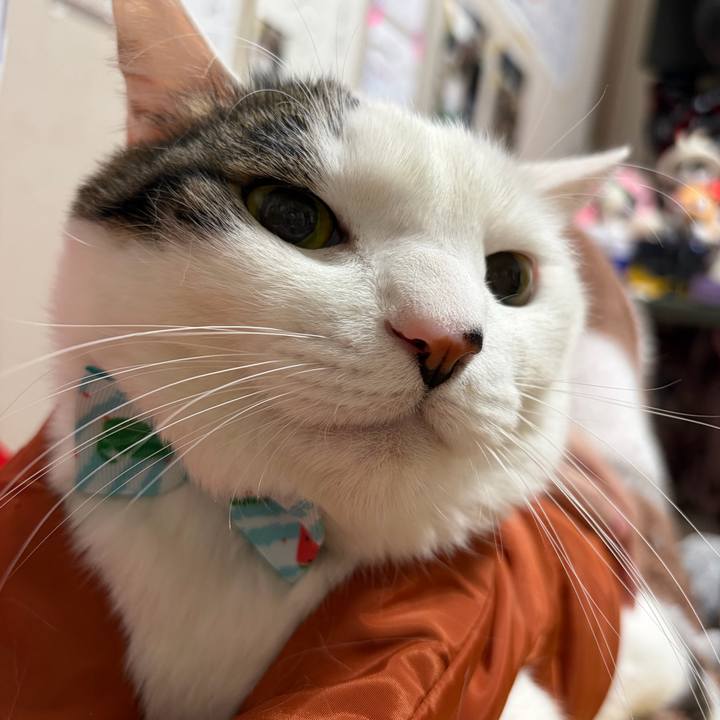 6e61cfdb 580d 49e0 a615 53499a2d4df5 1770746924630