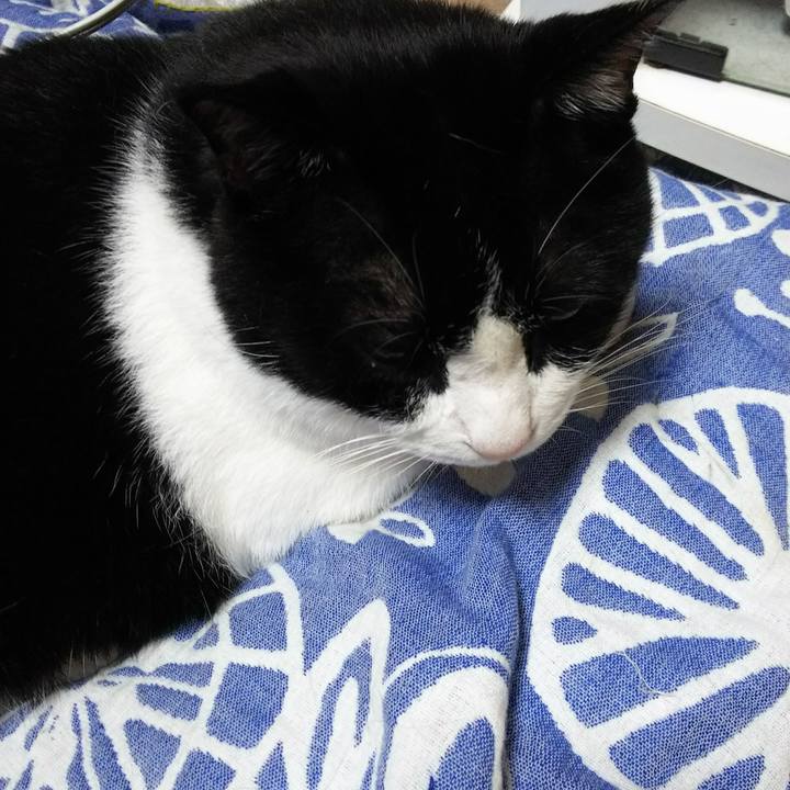 6e6201ed 49a4 4448 8669 d6b815498e9b 1529531365021