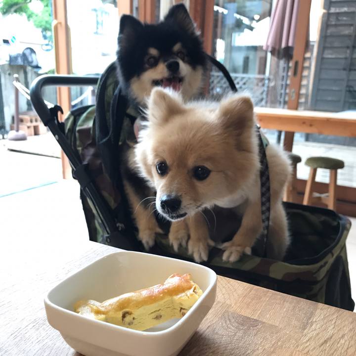 6e62530b 1f40 4596 b2f4 942a0df25f61 1592007303512