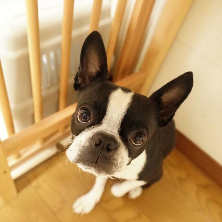 6e625752 8dc9 4534 90d1 fefe7dae45ff 1510636876621