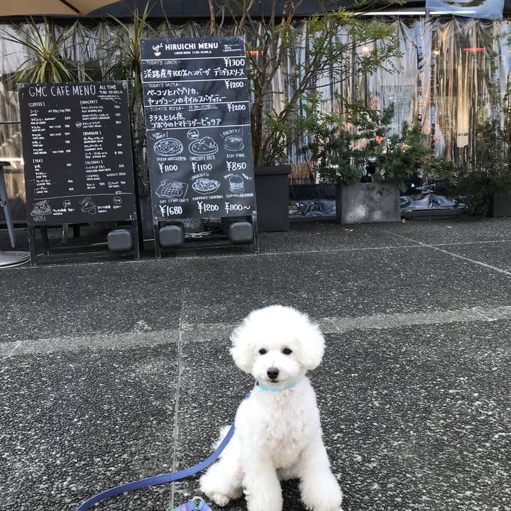 6e62926e 61fd 484f 8fc9 cf10b1562bcc 1520154315435