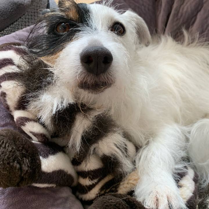 6e629737 23f1 4b51 83ba 6b080b2b45fe 1628916940583