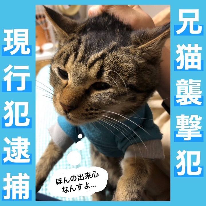 6e62b558 1718 4cbf 813d 362303a51c6b 1740181925368