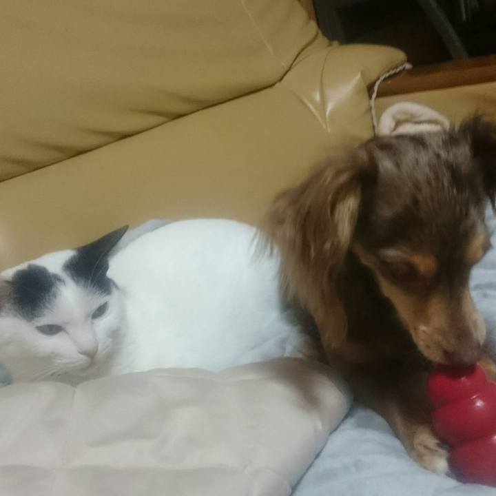 6e62be3d f058 4dea 953b a653dc30cc4d 1521717761825