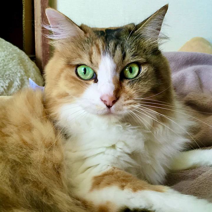 6e63418d 84fd 49a7 8b3c 5996b14656c9 1599551181325