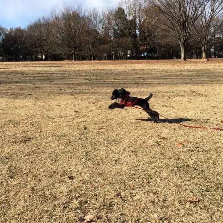 6e63bb38 ec18 4d95 9e22 4c8ef65492d5 1513507917005