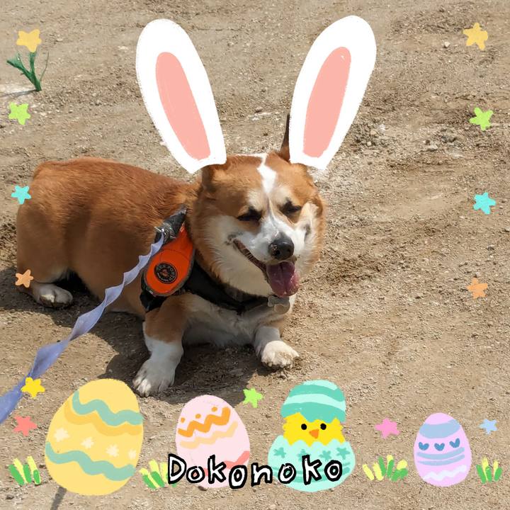 6e63d163 07ac 47ee 9800 212b20f4a8e0 1712318994298