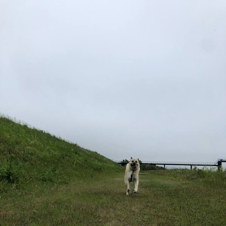 6e63d768 cf6e 48ac 8be4 cbc4dd9445fe 1621156606894