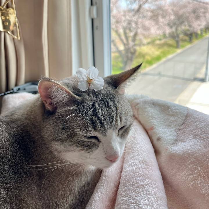 6e63f86f 1a54 455c a463 a7a32605cbf0 1712806534952