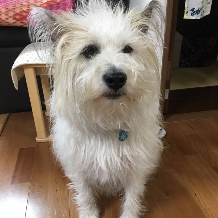 6e63f94e b50a 43ce 98a4 972ccf9661db 1558415998953