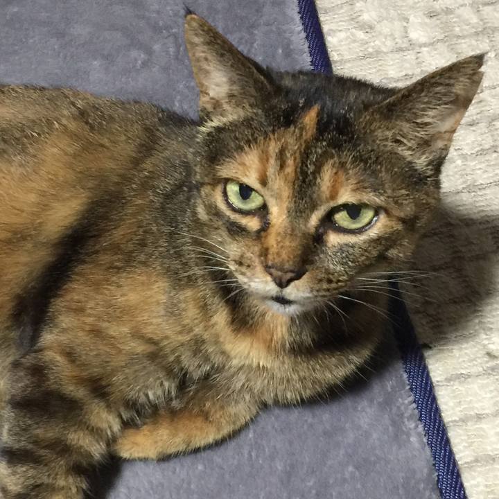 6e640e98 c0e6 4922 9f44 77047ebf23ba 1532171821180