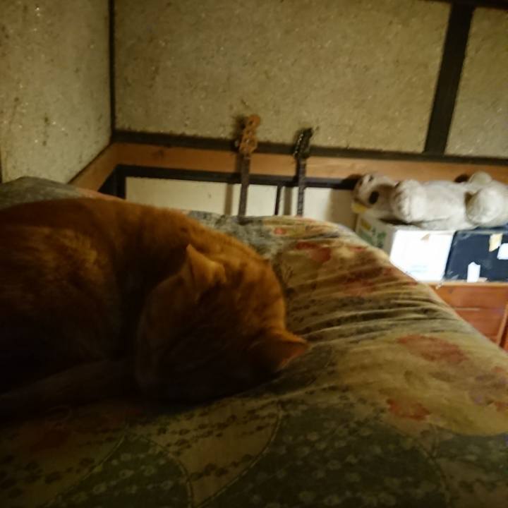 6e6425a1 8329 4550 9592 286e73a7d8ae 1601898485303