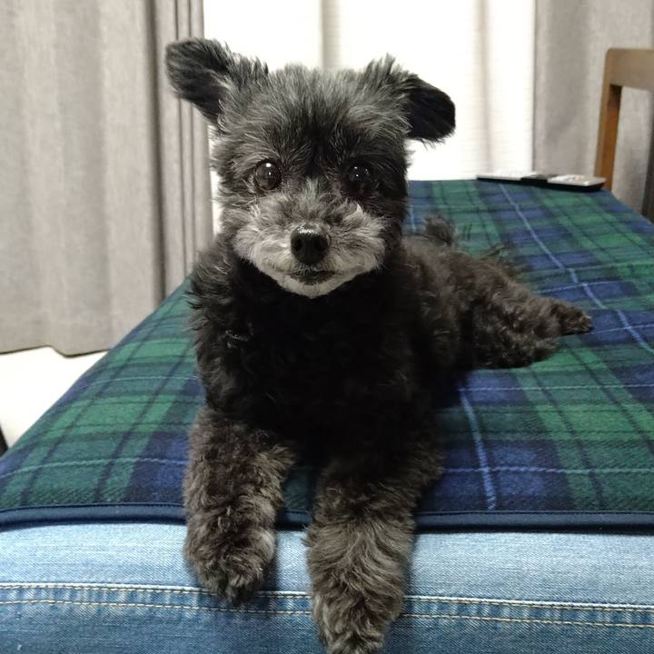 6e644525 8e8a 40f5 9371 ec05b4f0e5e7 1682762417620