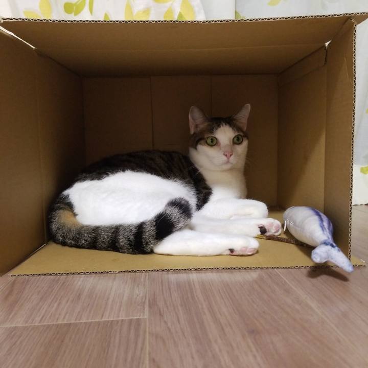 6e64a066 8a03 420b 8fde cda525357ad9 1585742956977