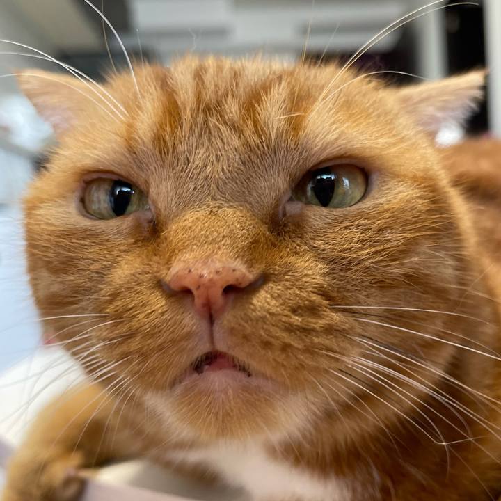 6e64c193 2aba 40b3 a7b7 c6913061f510 1722040459499