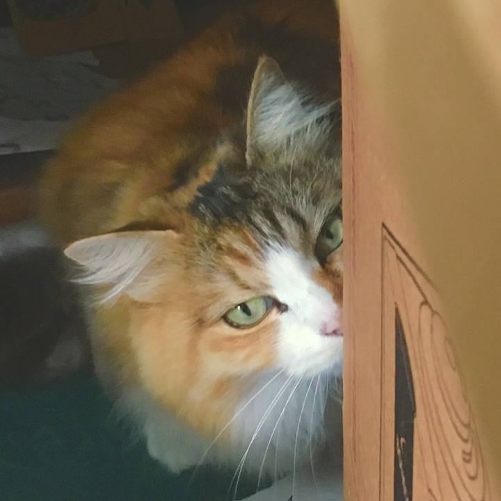 6e64e729 b3a7 4059 9ce7 9fbcc9ef6638 1555969520572