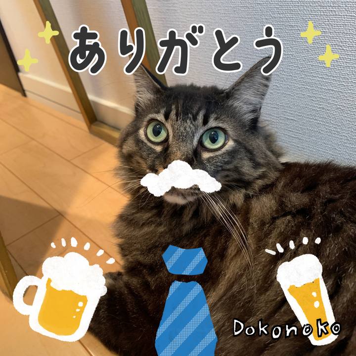 6e6502ca 314a 4db1 a452 9909e8e51515 1718310868310