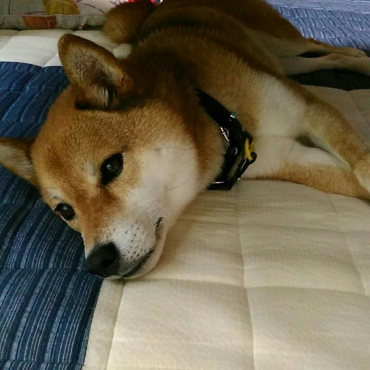 6e650754 3070 4c65 9f19 99ec96f78f00 1563678410897