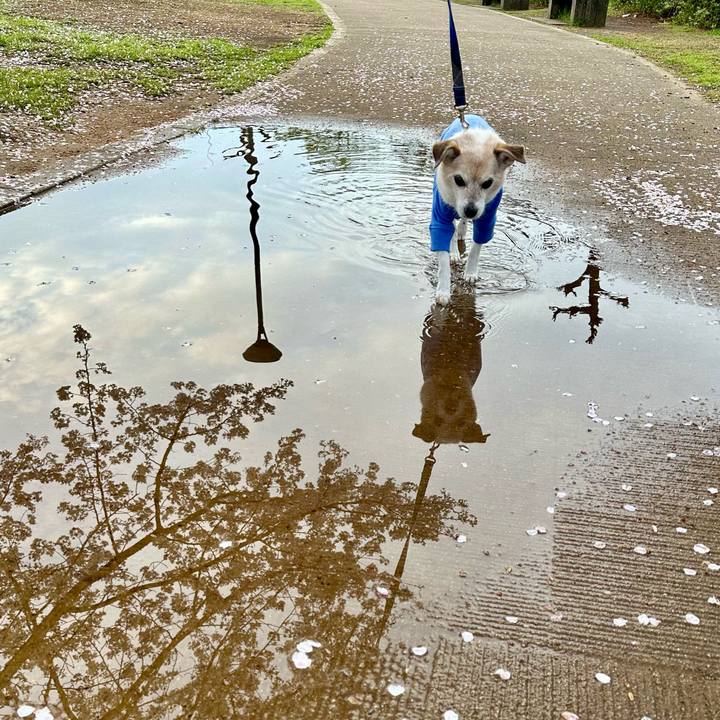 6e650e8f c547 4687 b2eb 3342ed7f6d80 1744344518165