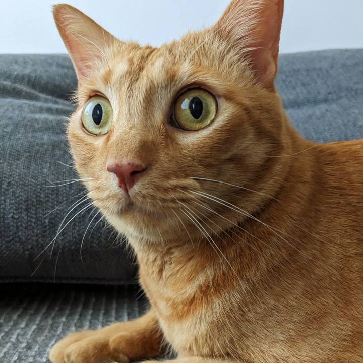 6e651be5 2d59 48a9 9d87 70941b8c90ee 1690072083485