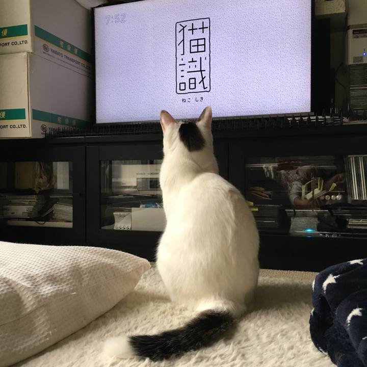 6e652119 e4f2 4697 9d35 5063e7b9ad33 1515369702658