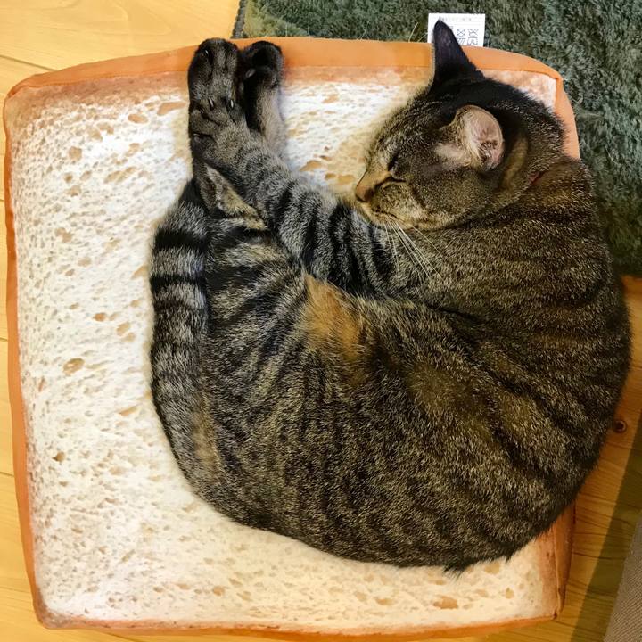 6e653fa9 5046 477b b47e 5a8b260d6cfd 1541421265763