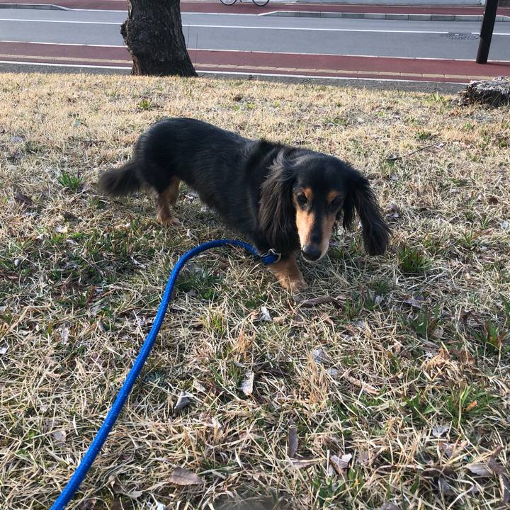 6e656509 d630 4ddb af6d 337acaa0ed67 1584861858260