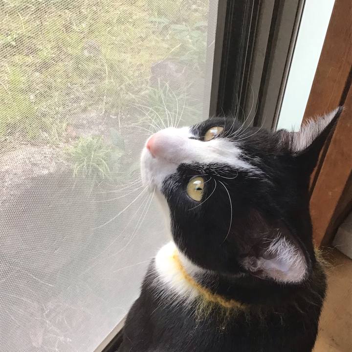 6e658e65 7146 4fd5 bdad db5cb560b2f3 1649320711120