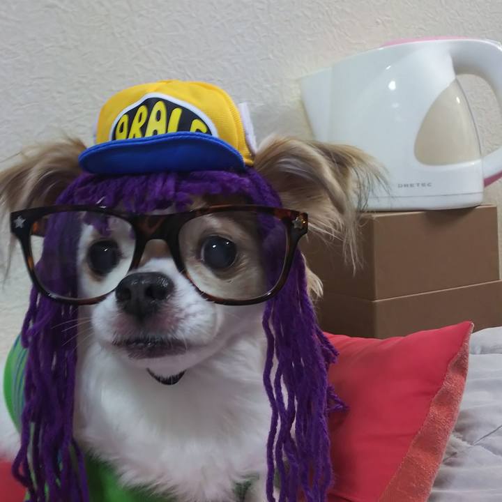 6e65946c 61f5 4d4f af0c 01bc5e86db9a 1579523972664