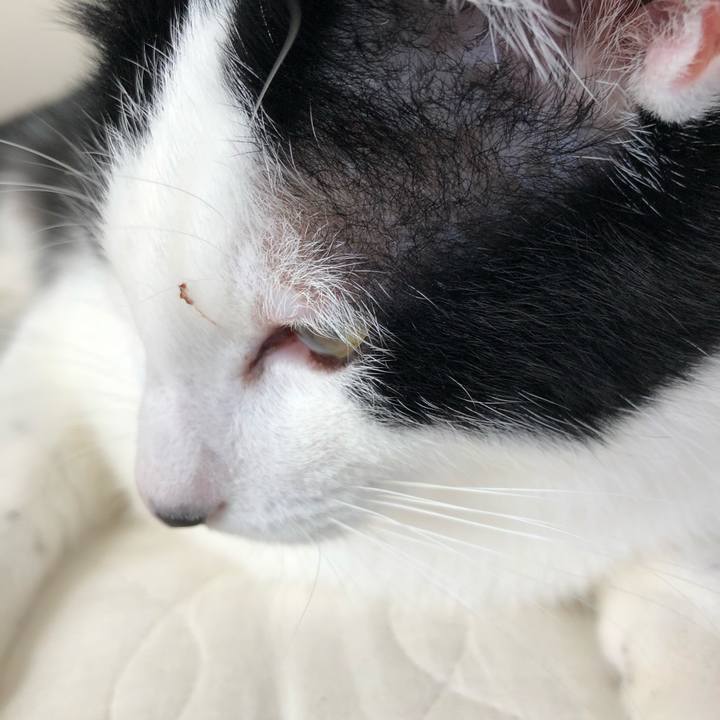 6e659db0 3b12 4edc adc4 ef80662504f5 1560722012297