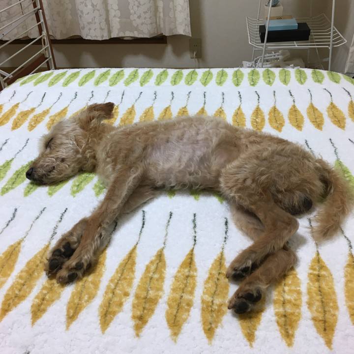 6e659dd0 e9a7 4f0b 811e aebab4f65611 1595940959219