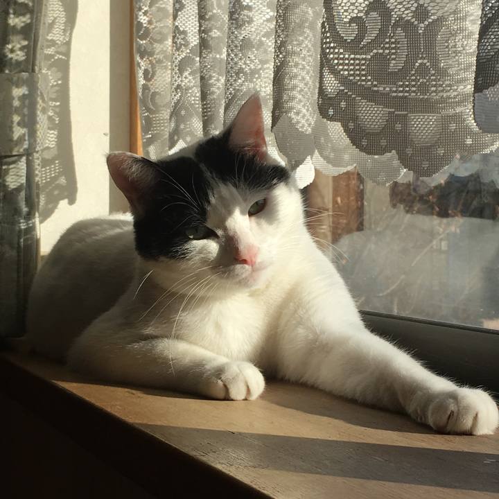 6e661511 a966 4680 8638 07d18f62fae3 1512518901336