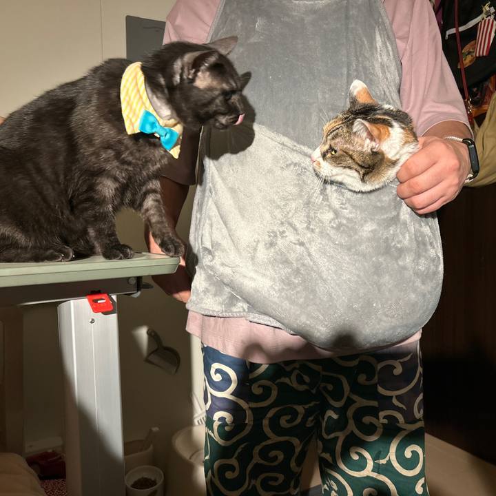 6e6625df 2316 49f1 ae59 16c93d45e888 1761669460024