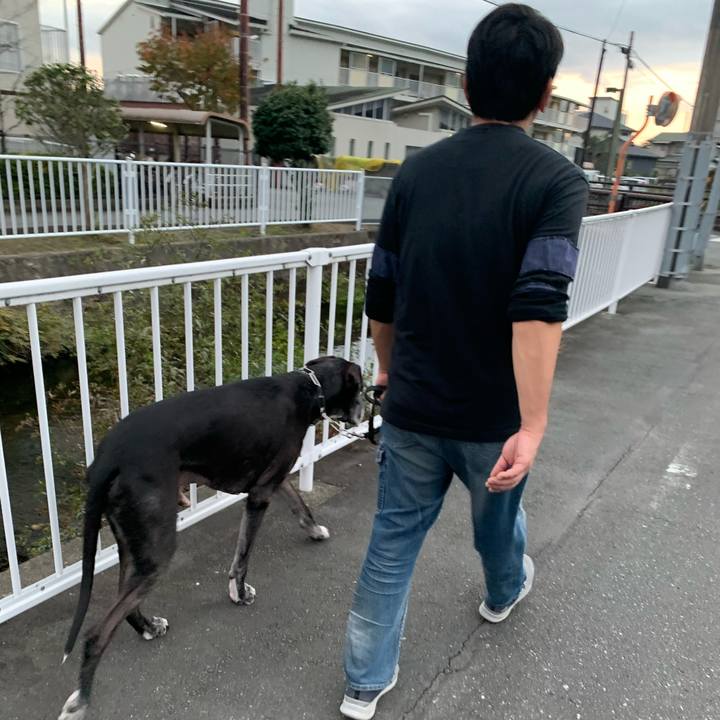 6e662eba 70b9 4416 bd2a fadc9458dab3 1605429386366