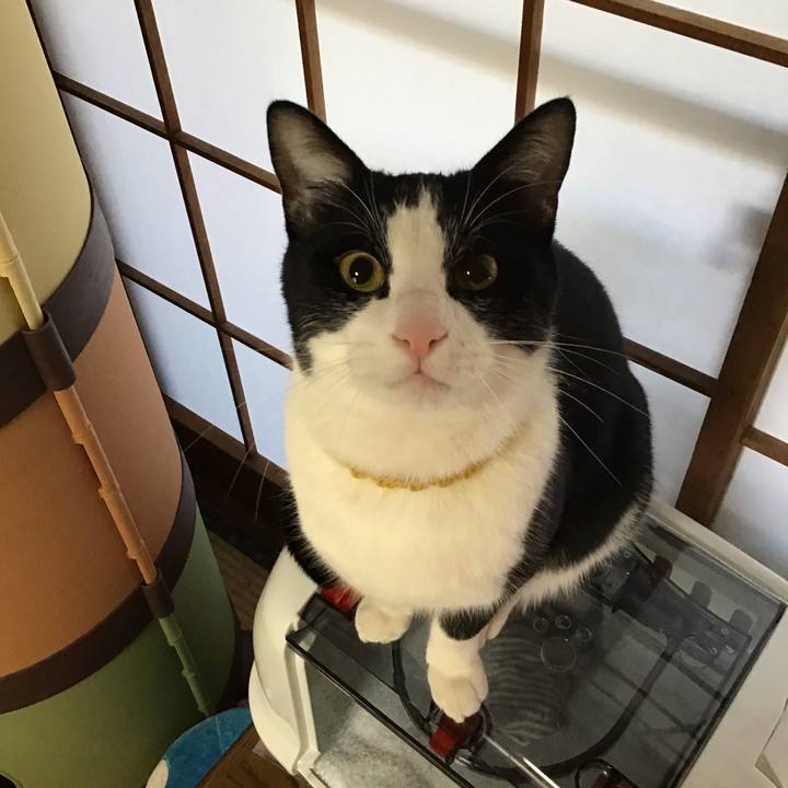 6e663ede d0db 4af1 be61 c231cdc3e220 1647650832038