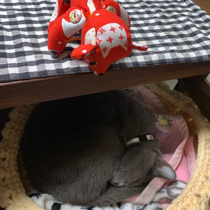 6e663f9a 82cc 4f70 9db2 147dfd99a201 1644500605393