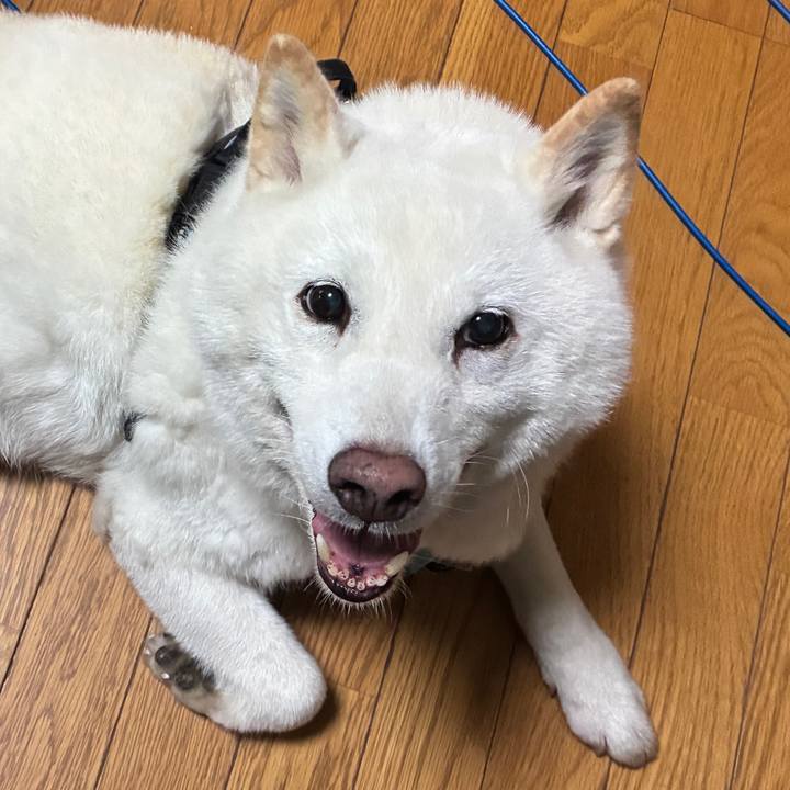 6e667dcf 0d2e 4d8f b958 2fc24ad87b5a 1747863769101