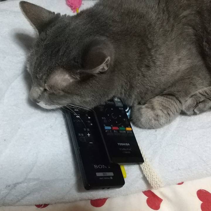 6e668304 aa0f 4e98 98e0 f6e62f16af53 1661865583894