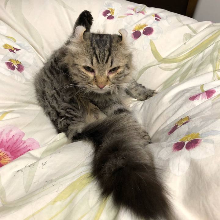 6e668b83 6faa 44dc bb59 49999dd9c8fb 1535813374841