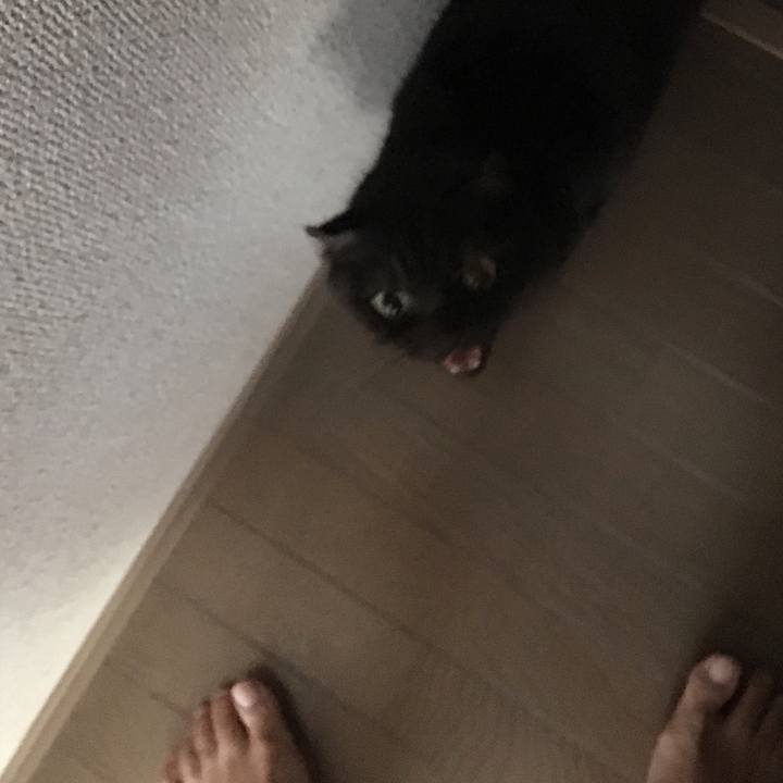 6e66afc8 f7b8 4611 8bed d75ca20a6c57 1517612105670