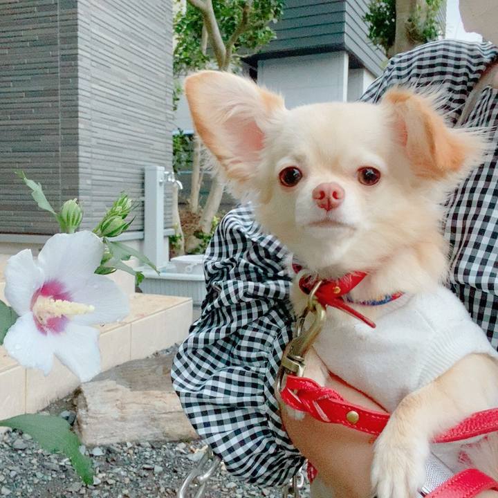 6e66bcfb 7db7 4a38 b1f5 97fb1c0edffe 1630926188140