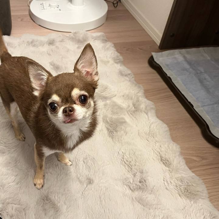 6e66c519 99cd 4fdf 989c dc841a16fb82 1754815417643