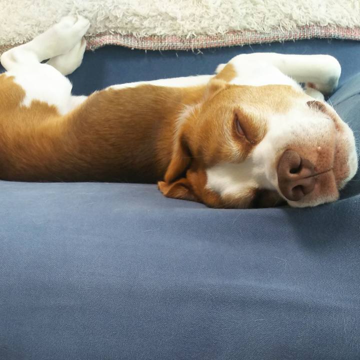 6e66f214 403e 4dc3 8b61 a9425d4a90e1 1655181640413