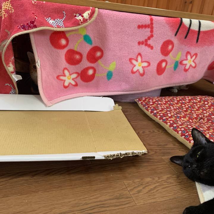 6e672b3c 27e2 439d ab6b ba1380f90cd7 1645828002605