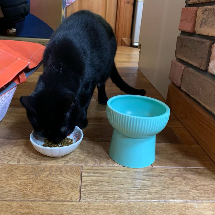 6e675f33 8899 4720 8e87 b415406006bc 1614942090050